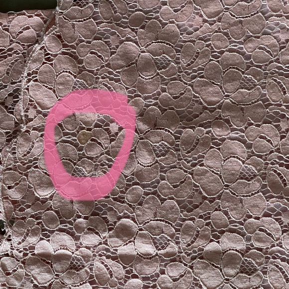 Aritzia Talula Betty Light Pink Lace Tank - Picture 7 of 7